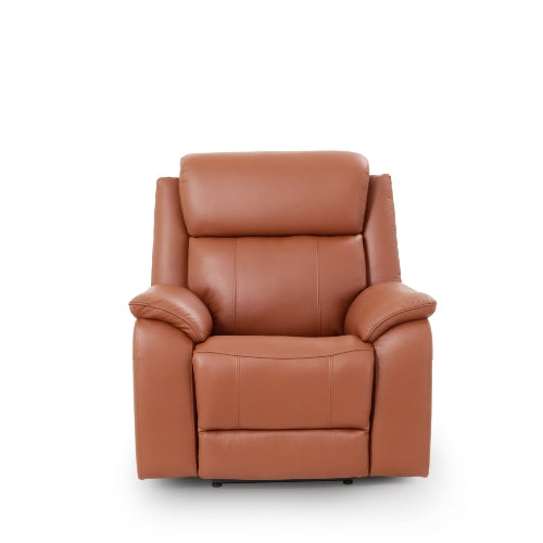 Darwin Armchair