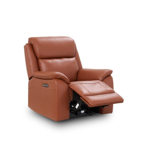 Darwin Armchair