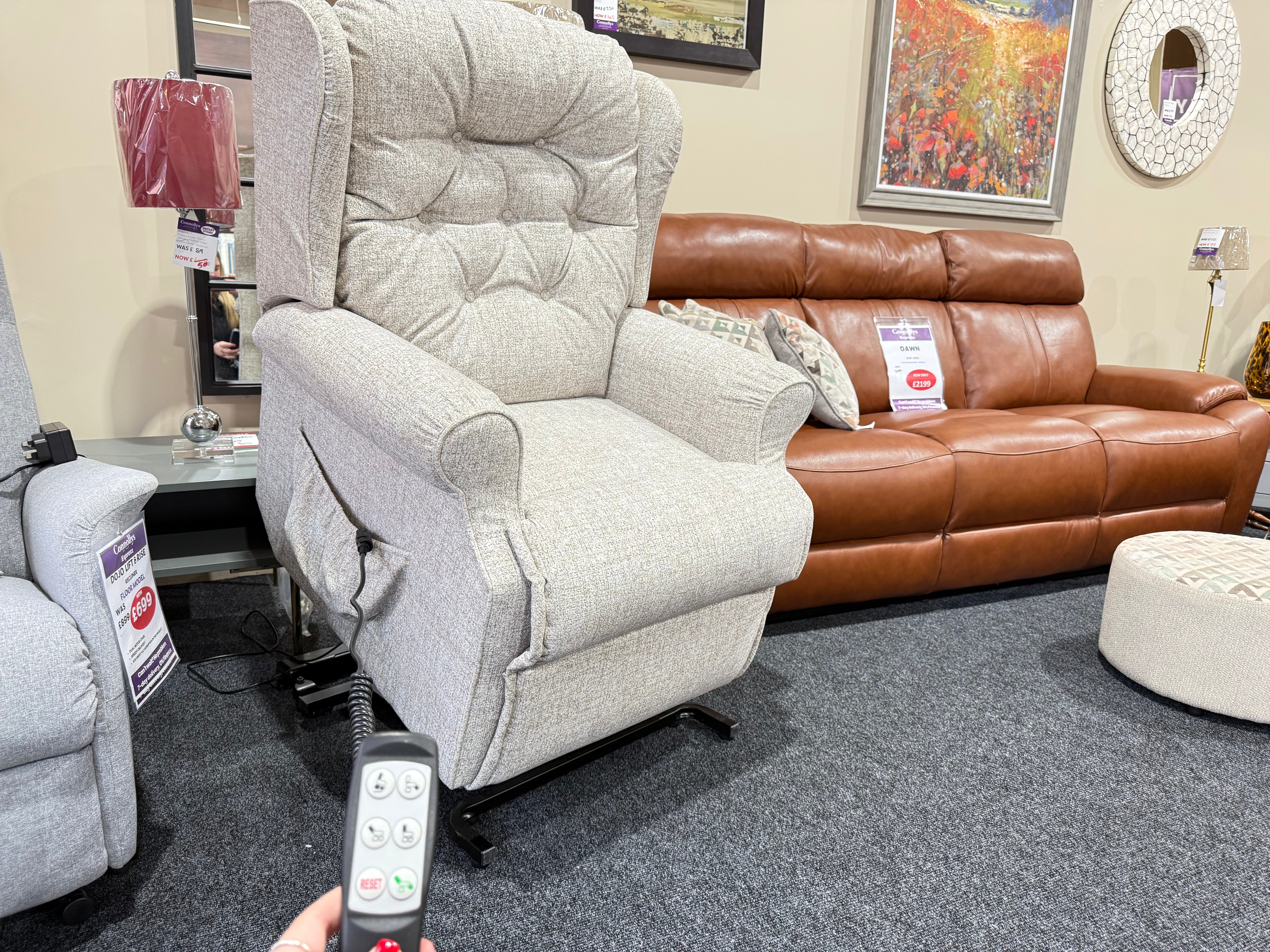 Belvedere Life and Riser Mobility Chair