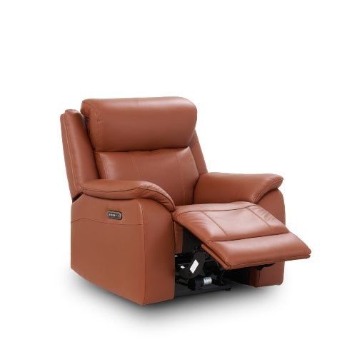 Darwin Armchair