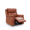 Darwin Armchair